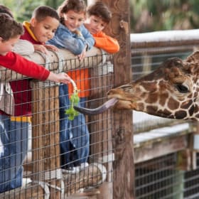 Kansas City Zoo Passes item