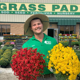 Flowering Shrub from Grass Pad item