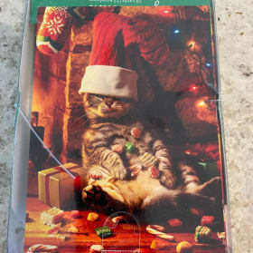 Set of Christmas Cat Cards (10) item