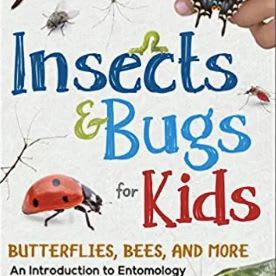Insects & Bugs For Kids item