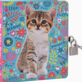 Diary: My Kitty item