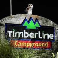 Lot 33: Timberline Campground Grill and Chill Experience item