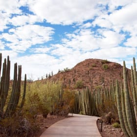 Botanical Garden Family Pass item