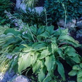 H. 'Makin' Music' item