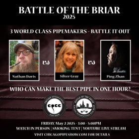 Battle of the Briar - In Room Experience item