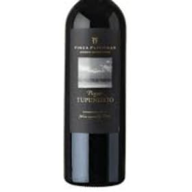 Finca Flichman Malbec Tupungato, 2020 item