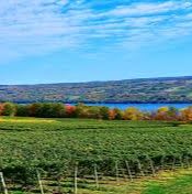 New York States Finger Lakes! item