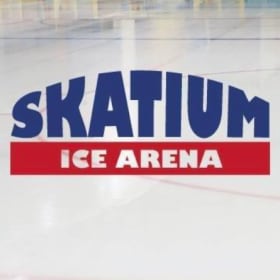 ⛸️ Skokie Skatium Ice Arena item