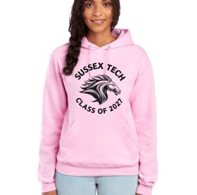 2027 Classic Pink Hoodie item