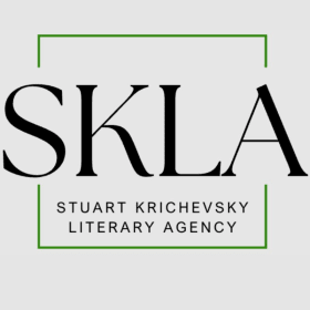 Query + first 10 pages critique + 15 minute video chat item