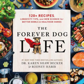 The Forever Dog Life -NEW paperback item