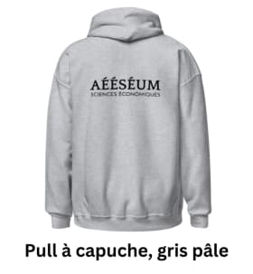 Pull à capuche, gris pâle item