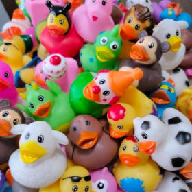10 rubber ducks item