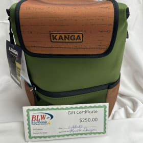 Ice Cooler and $250 Gift Card to Bi-Lo item