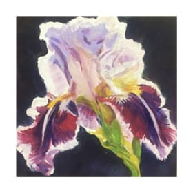 Spring Iris - 6x6, Framed, Oil on Canvas item