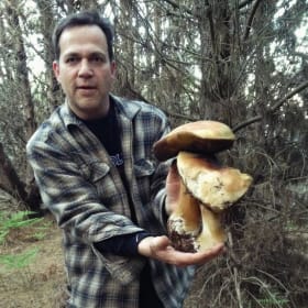 Foraging with Mike (valued at 870) item