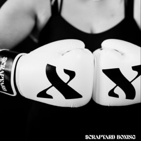 10-Class Punch Pass | Scrapyard Boxing item