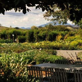 Frog's Leap Winery item