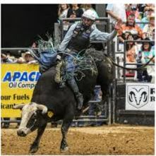 Pasadena Livestock Show & Rodeo Tickets item