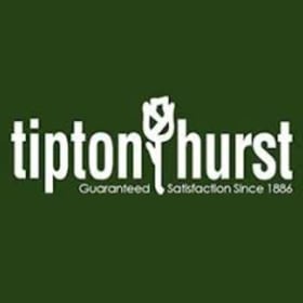 Dozen Roses from Tipton & Hurst item