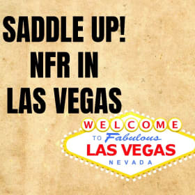 🐎 𝗦𝗔𝗗𝗗𝗟𝗘 𝗨𝗣! 𝗡𝗙𝗥 𝗜𝗡 𝗟𝗔𝗦 𝗩𝗘𝗚𝗔𝗦 item