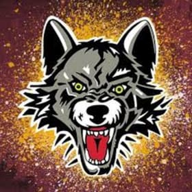 Wolves Tickets + Skate Passes $80 Value item