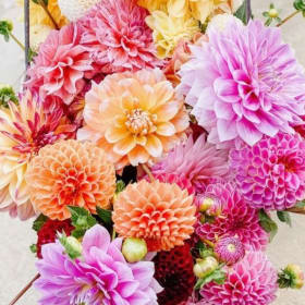 Get Your Flourish On Package 1 item