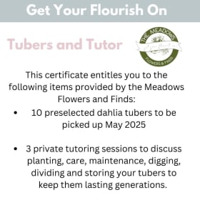 Get Your Flourish On Package 2 item