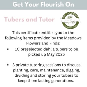 Get Your Flourish On Package 1 item