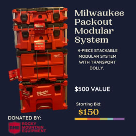 Milwaukee PACKOUT Modular System item