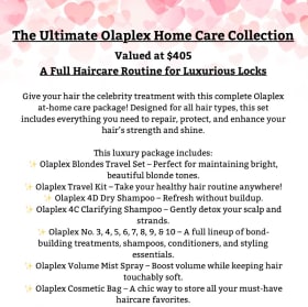 Rescue, Repair & Radiance item