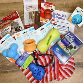 Smarty Paws Training and Enrichment Basket item