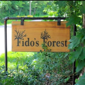 Unleash the Fun! item