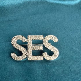Diamond SES Brooch item