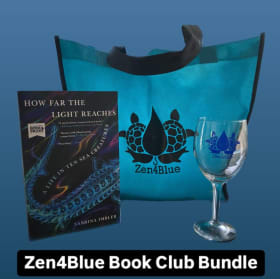 Book Club Bundle item