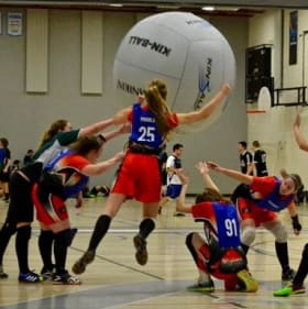 Cours personnalisé - 2h item