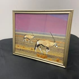 Onyx in Namibia item