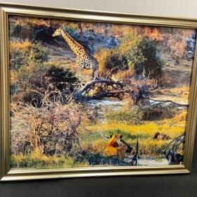 Lion Stalking Giraffe item