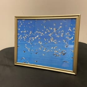 Birds in Alaska item