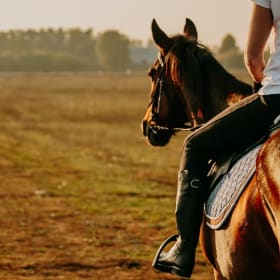Shadow Glen Trail Ride item