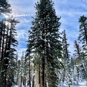 TRAVEL| Mammoth Mountain Condo, 4-night stay (Value: $2200) item