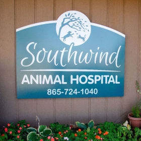 22. Pet Basket - Donated by Southwind Animal Hospital item