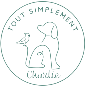 TOUT SIMPLEMENT CHARLIE - 1h de zoothérapie individuelle item
