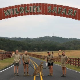 Wildlife Safari Tickets (2) item