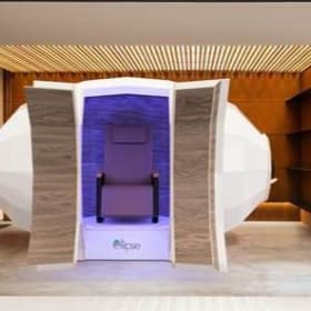 Harmonic Egg Integrative Therapy Session - In-Person item