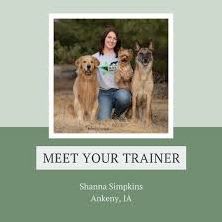 Lot 28: Elite Obedience 4-Week Board and Train Package item