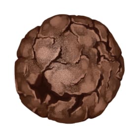 Chocolate Cookies item