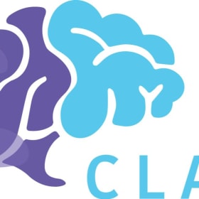 Clarity Dyslexia Solutions ADHD interview/assessment item