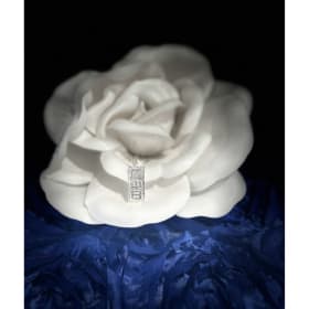 Zeta Phi Beta Pendant item