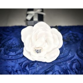 Zeta Phi Beta Ring item
